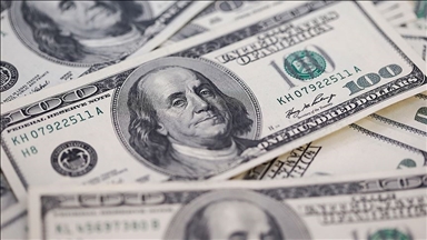 Reel efektif döviz kuru endeksi şubatta 103,17 oldu