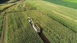 Kırsalda kalkınma 3 yılda yaklaşık 65,5 milyar liralık yatırımla desteklenecek