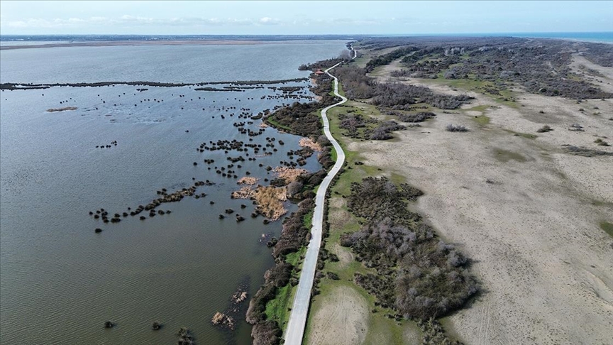 UNESCO listesindeki Kızılırmak Deltası su seviyesinin artmasıyla canlanmaya başladı