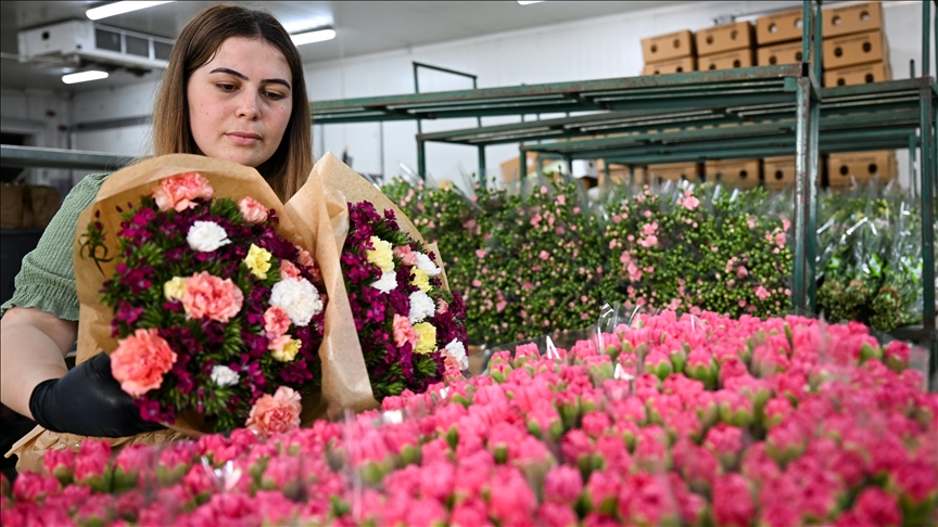 Türkiye exports 80M flowers to 35 countries for Int’l Women’s Day