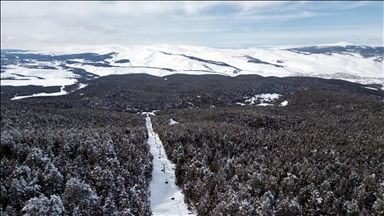 Li Qersê daristanên çamê yên ku bi berfê nixumîn, bi dronê hat kişandin