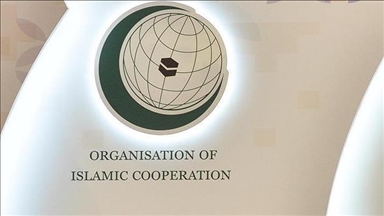 OIC denounces threat to Türkiye after interception of ballistic missile from Iran