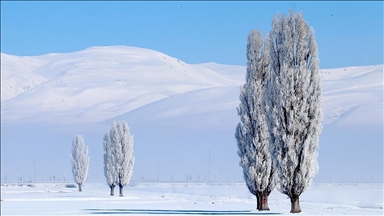 Doğu Anadolu'da kar yerini soğuk havaya bıraktı
