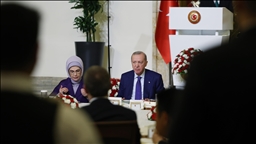 Turkish president discusses need for increased defense ties in NATO with French counterpart