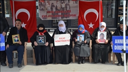 Malbatên Wanî "nobeta ewladan" a li pêşiya avahiya DEM Partiyê domand