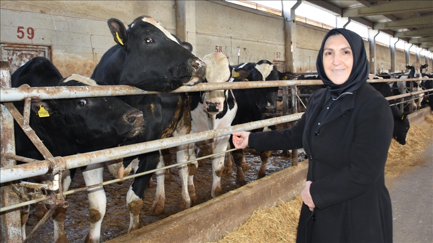 Ev hanımıyken devlet desteğiyle 900 hayvanın bulunduğu çiftliğin sahibi oldu 