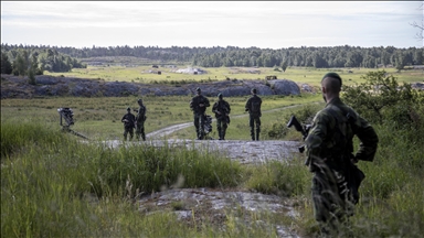 Trust in NATO falls in Sweden while confidence in royal family rises: Survey