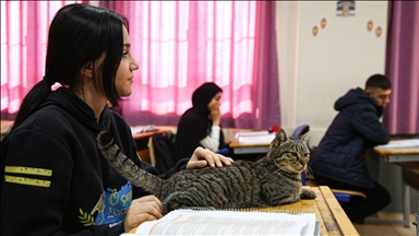 Liselilerle derse giren kedi "Pakize" okulun 470'inci öğrencisi oldu