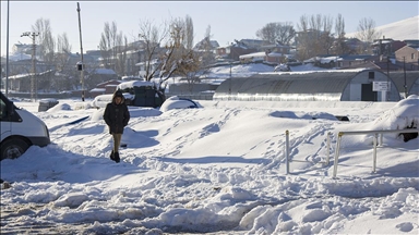 Kars'ta sulak alanlar dondu, bitki ve ağaçlar kırağı tuttu