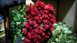 Renk cümbüşüne dönen çiçek mezatlarını Kadınlar Günü heyecanı sardı