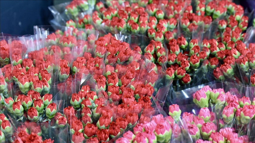 Turqia eksporton 80 milionë lule në 35 vende për Ditën Ndërkombëtare të Gruas
