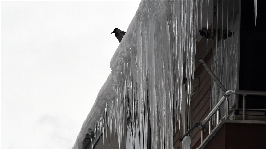 Doğu Anadolu'da kar ile soğuk hava etkili oluyor