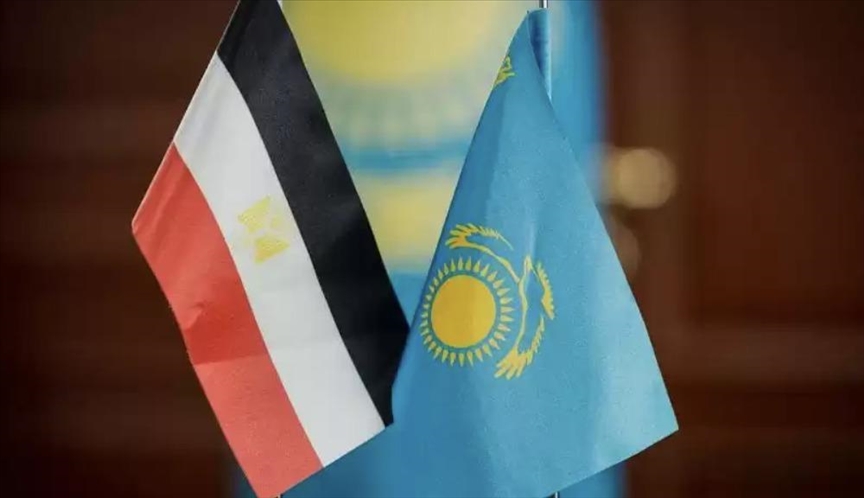 Главы МИД Казахстана и Египта обсудили ситуацию на Ближнем Востоке