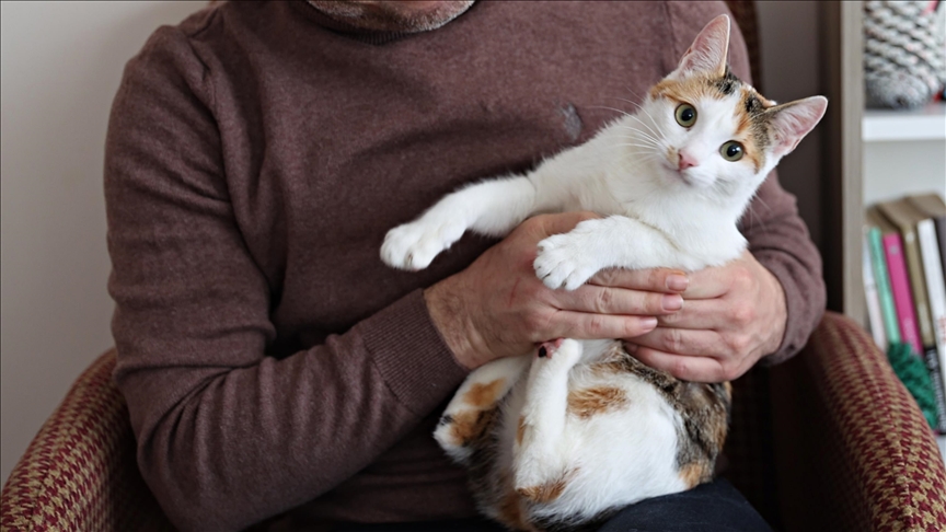 Evlerde içilen sigaranın evcil hayvanlara zararı araştırıldı