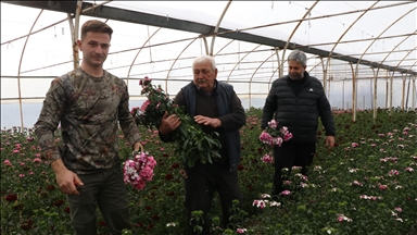 Yalova'da dört kuşaktır sürdürülen çiçekçilik torunlarla devam ediyor