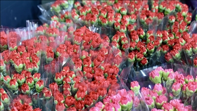 Turqia eksporton 80 milionë lule në 35 vende për Ditën Ndërkombëtare të Gruas