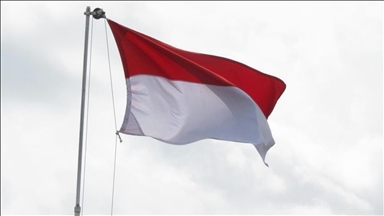 Индонезия приостановила переговоры по Совету мира 