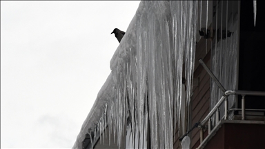 Doğu Anadolu'da kar ile soğuk hava etkili oluyor