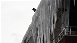 Doğu Anadolu'da kar ile soğuk hava etkili oluyor