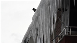 Berf û hewaya sar bandorê li Erzirom, Qers û Erdexanê dike