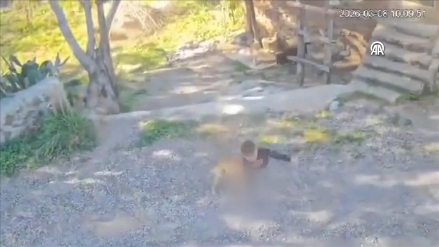 Antalya'da sahipsiz köpeklerin saldırdığı çocuk yaralandı