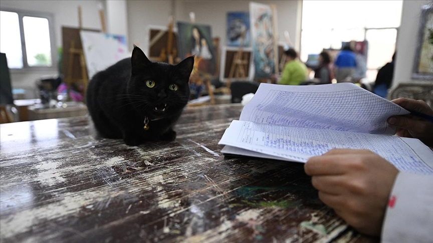 Sevimli kedi "Şükufe" kursiyerlerin neşe kaynağı oldu