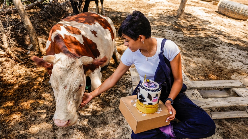 8 mars au Liban : des femmes agricultrices entre résilience, crises et bombardements