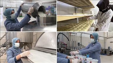 Tekirdağlı kadınlar her gün 7 ton sütü lezzete dönüştürüyor