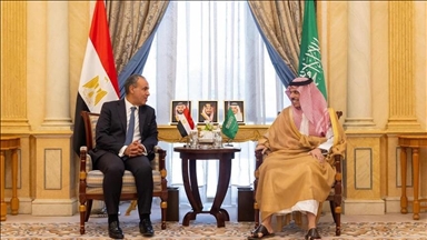 مصر والسعودية تبحثان تنسيق المواقف إزاء التصعيد العسكري بالمنطقة