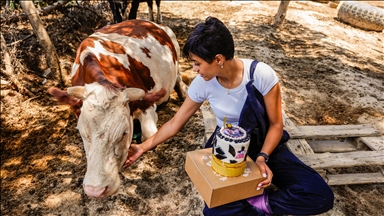 8 mars au Liban : des femmes agricultrices entre résilience, crises et bombardements
