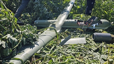 Drones iraniens : onze pays demandent l’aide de l’Ukraine, affirme Zelensky