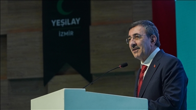 Turkish vice president stresses coordination among Turkic states amid regional turmoil