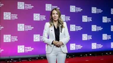 Đedović Handanović: Srbija bi oko 2040. mogla dobiti prvu nuklearnu elektranu na mreži