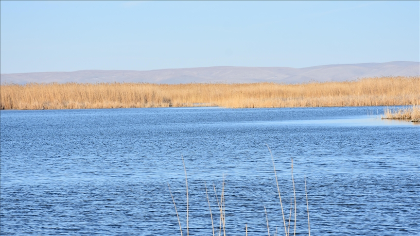 Sıfır Atık Vakfı, Eber Gölü için hazırlanacak eylem planına katkı sağlayacak 