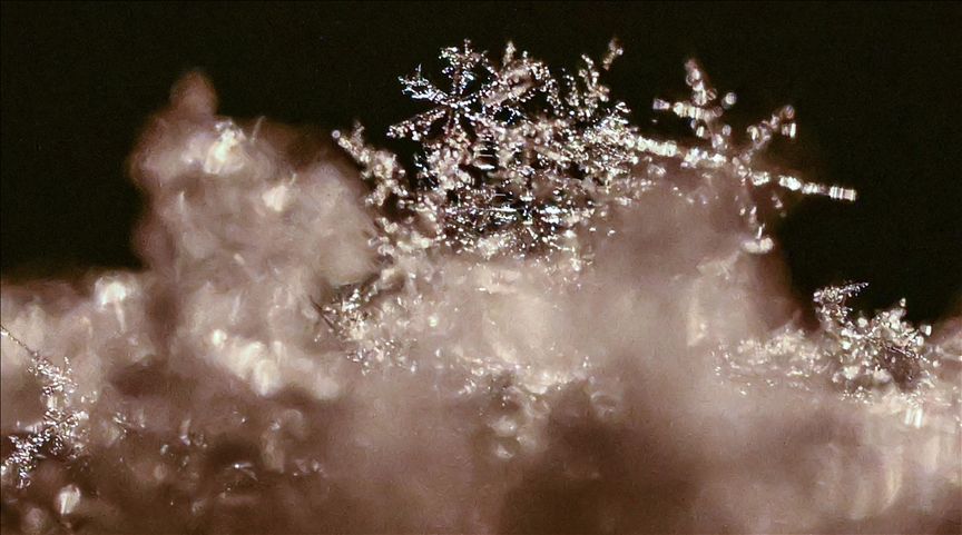 Van'da kar kristallerinin farklı şekilleri objektife yansıtıldı