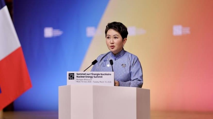 Глава МИД Монголии представила перспективы развития энергетики в стране на саммите в Париже