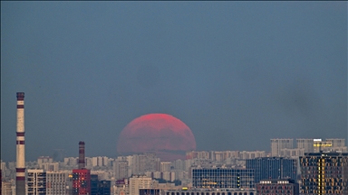 6 nations launch International Organization for Russian Language at inaugural Moscow conference