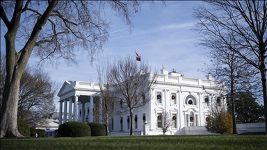 Kombi probio barikadu u blizini Bijele kuće, vozač uhapšen