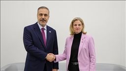 Глава МИД Австрии выразила поддержку Турции