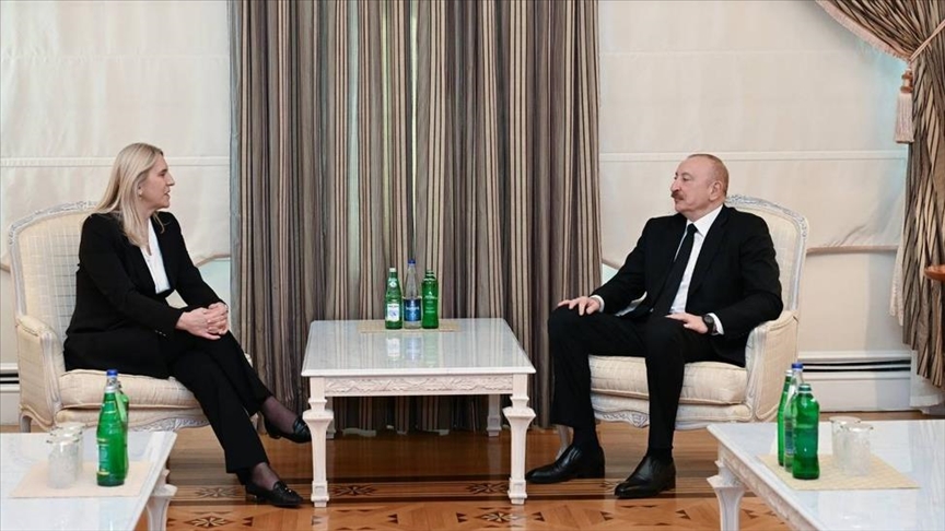 Алиев обсудил с Цвиянович развитие отношений Азербайджана и Боснии и Герцеговины