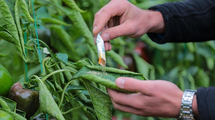 Orman zararlılarıyla mücadelede geçen yıl 1 milyondan fazla faydalı organizma üretildi
