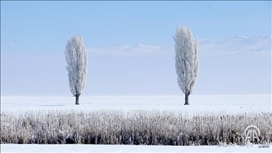 Li Wan, Mûş û Bidlîsê rêya 30 cih û waran girtî ye