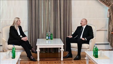 Алиев обсудил с Цвиянович развитие отношений Азербайджана и Боснии и Герцеговины