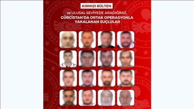 Kırmızı bültenle aranan 13, ulusal seviyede aranan 3 kişi Gürcistan'da yakalandı