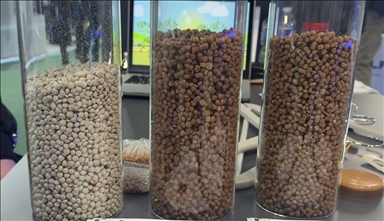 Kayısı çekirdeğinden biyomalzeme üreten Türk girişimci Paris'te ihracat ağını büyütüyor