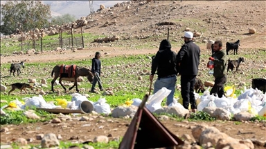 الضفة.. مستوطنون إسرائيليون يعتدون على فلسطينيٍّ ضربًا جنوب نابلس