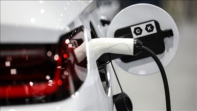Küresel elektrikli araç satışları şubatta yüzde 11 geriledi
