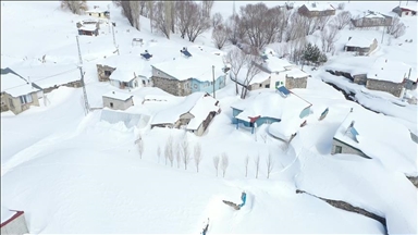 Li gundên Agiriyê biharê jî mal û gom di bin berfê da ne