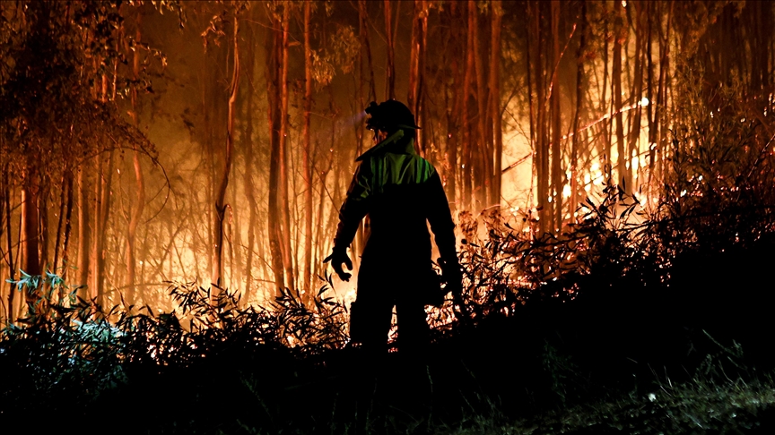 700 vehicles destroyed at storage facility in forest fire in Malaysia