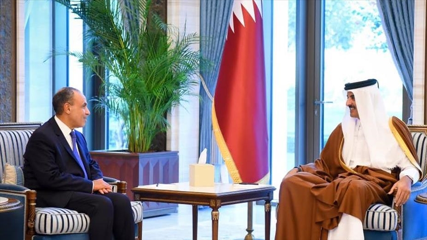 أمير قطر ووزير خارجية مصر يدعوان إلى خفض التصعيد بالمنطقة 
